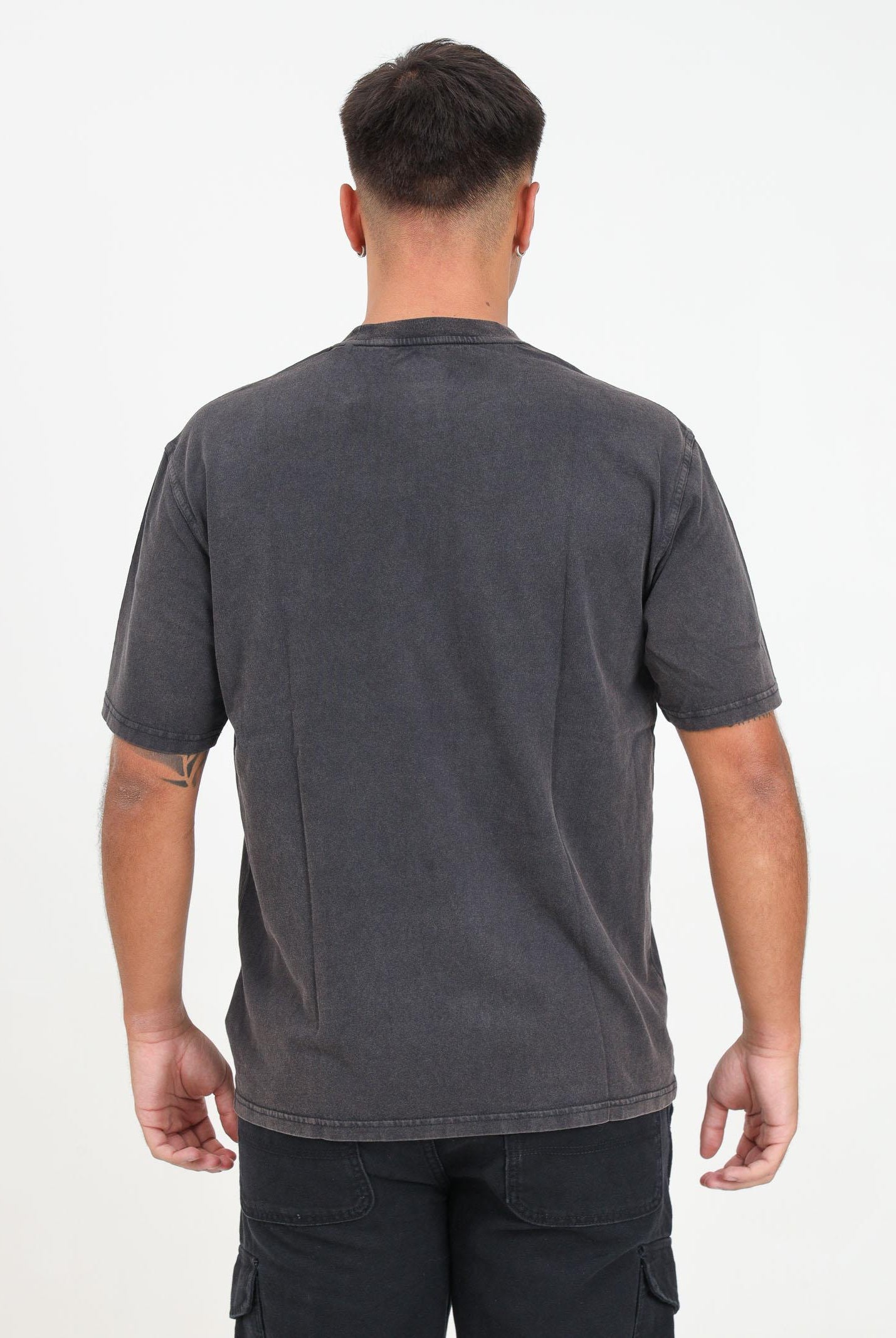 DICKIES T-shirt a manica corta Plentywood grigia da uomo DK0A866BH861 DIckies