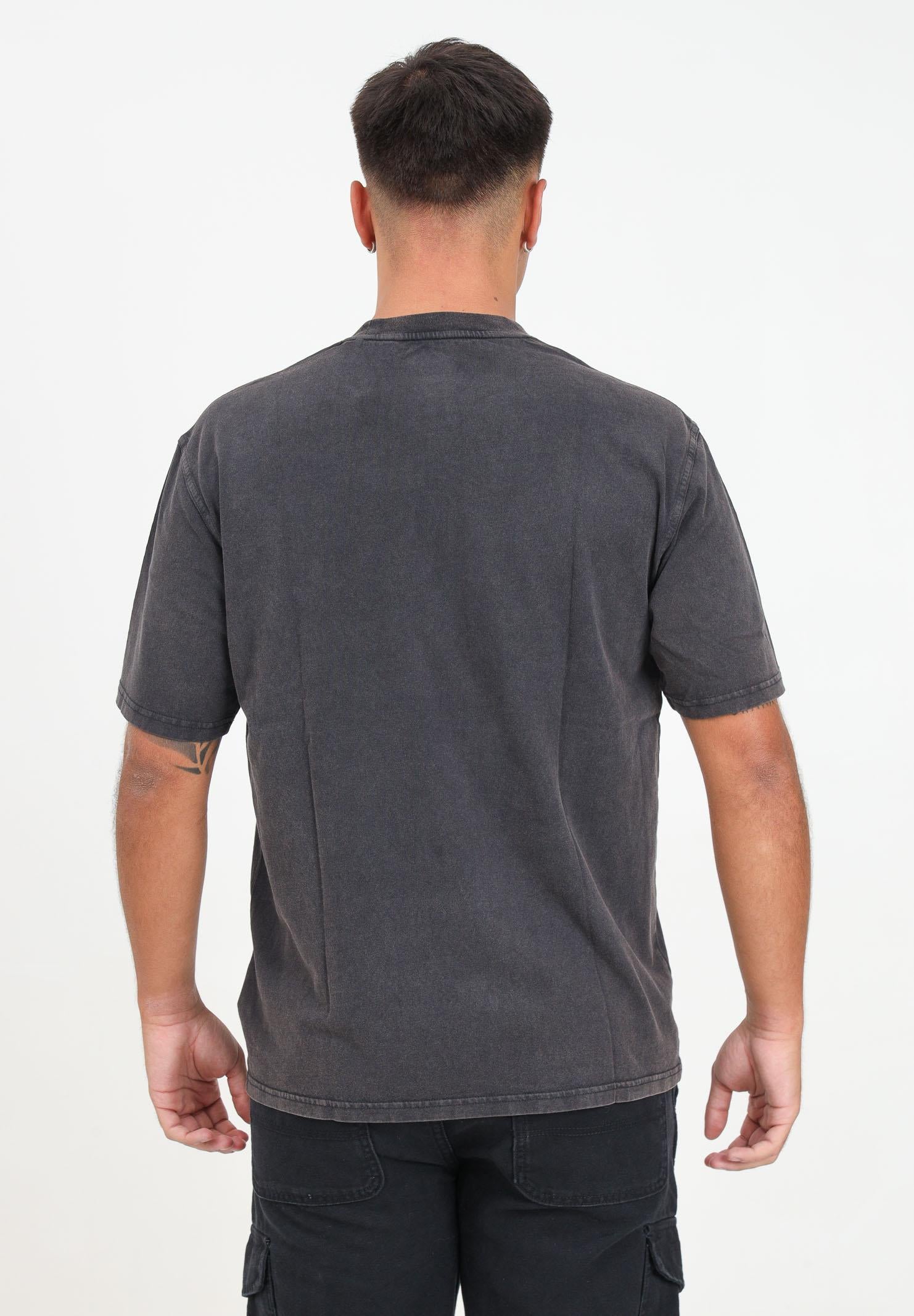 DICKIES T-shirt a manica corta Plentywood grigia da uomo DK0A866BH861 DIckies