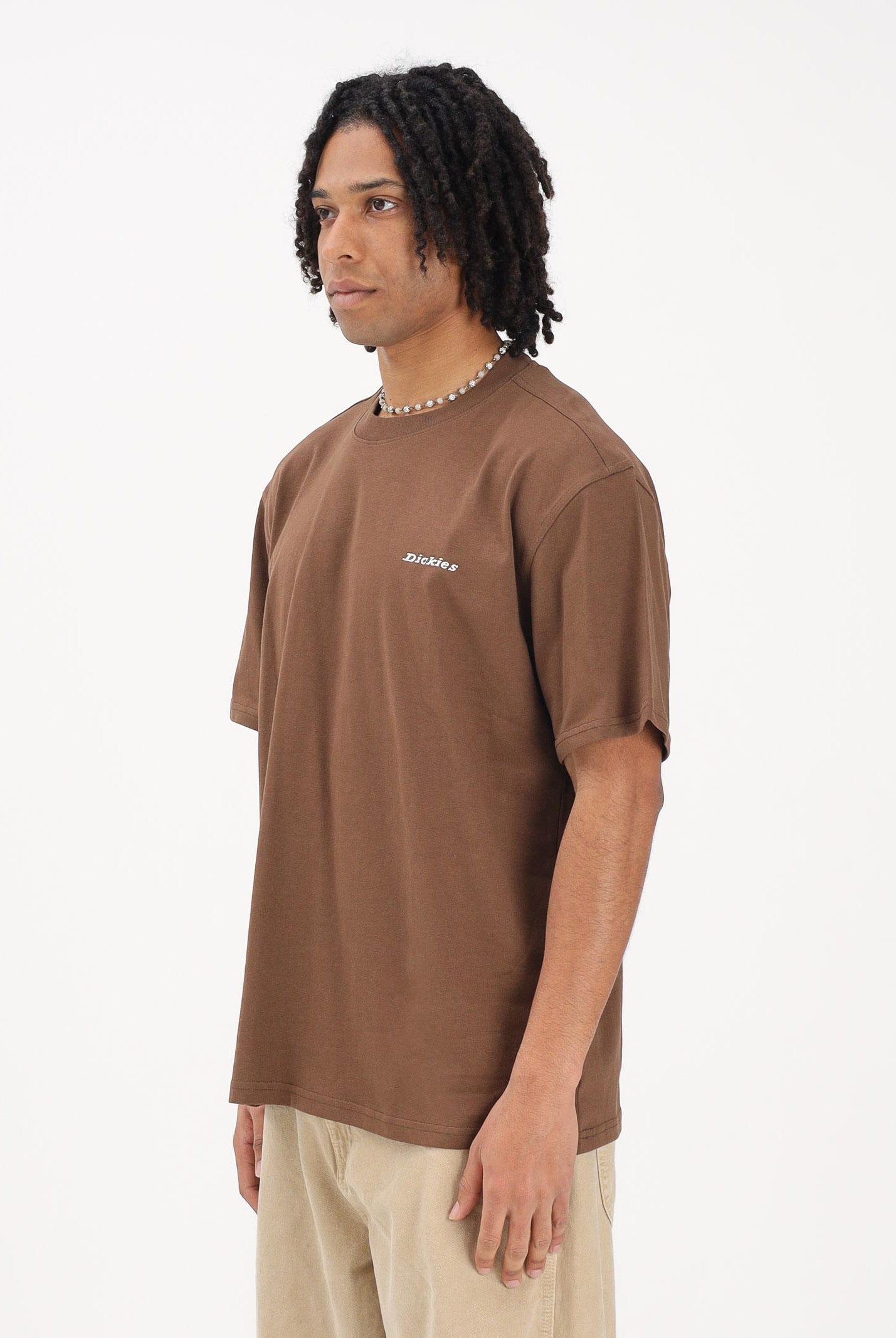 DICKIES T-shirt a manica corta Loretto marrone da uomo DK0A89EN0TB1 . DIckies