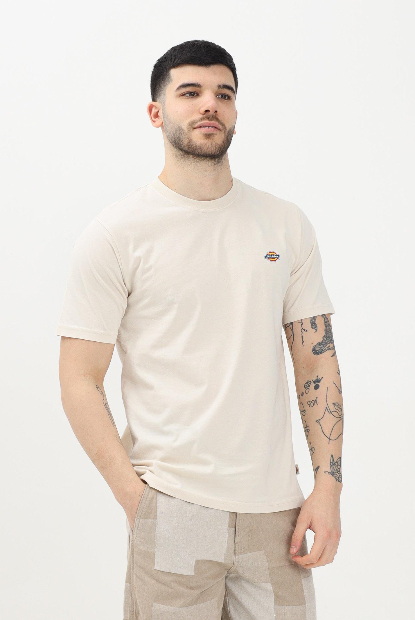 DICKIES T-shirt a manica corta Mapleton beige da uomo DK0A4XDBF901 . DIckies
