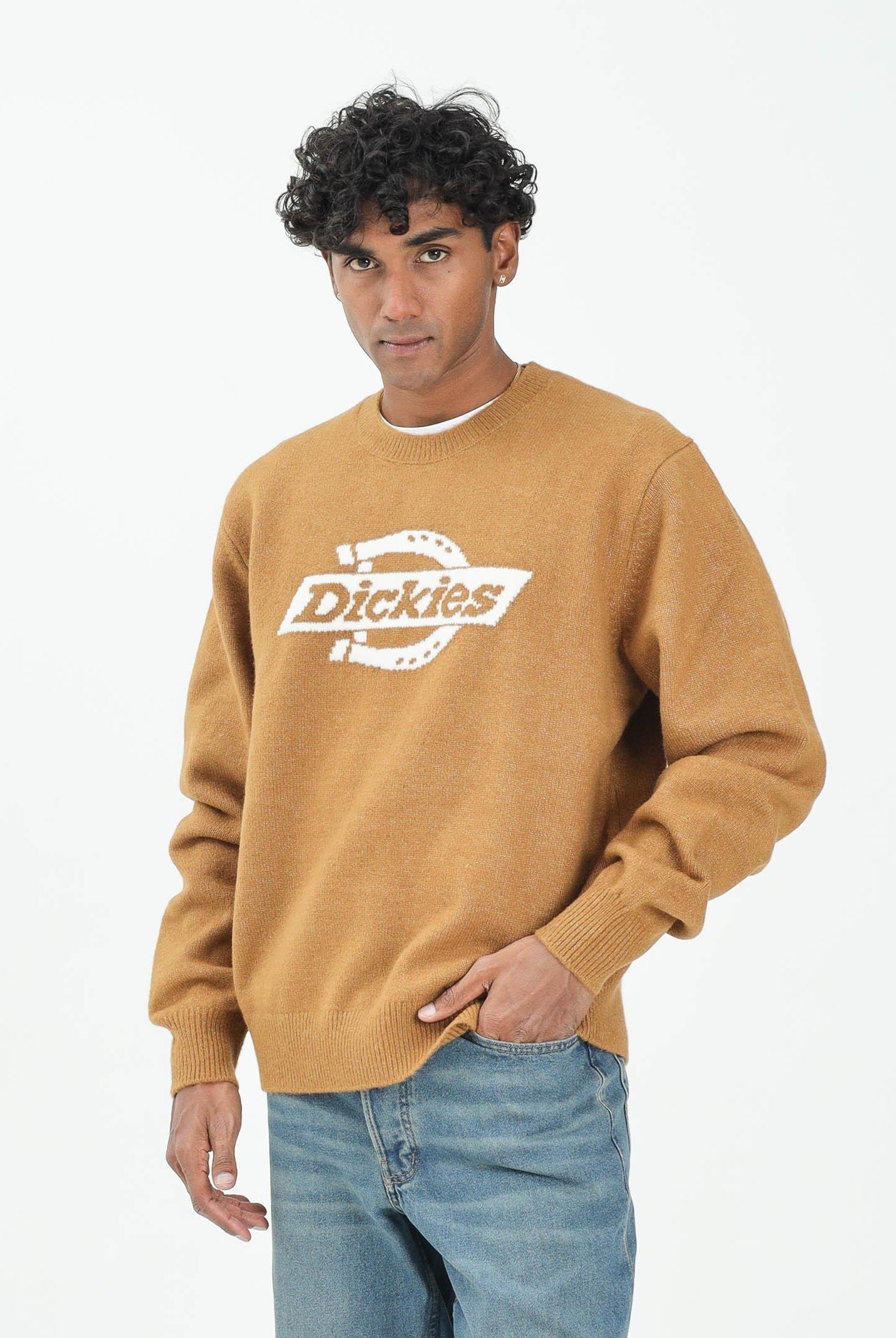 DICKIES Maglione girocollo Ruston cammello da uomo DK0A87OQ0BD1 . DIckies