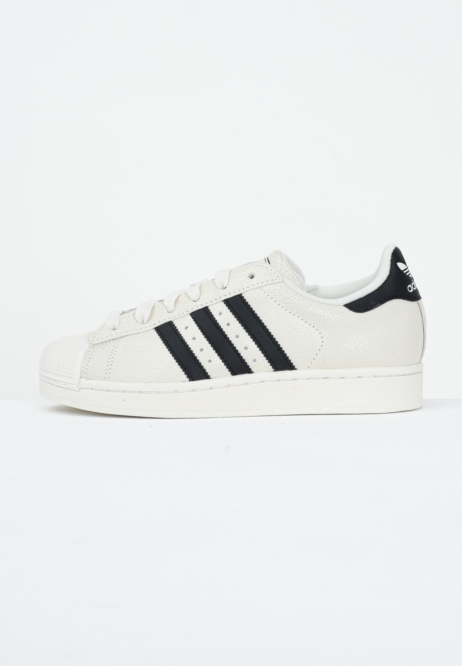 ADIDAS ORIGINALS Sneakers SUPERSTAR II panna per uomo e donna JS4013 . ADIDAS ORIGINALS