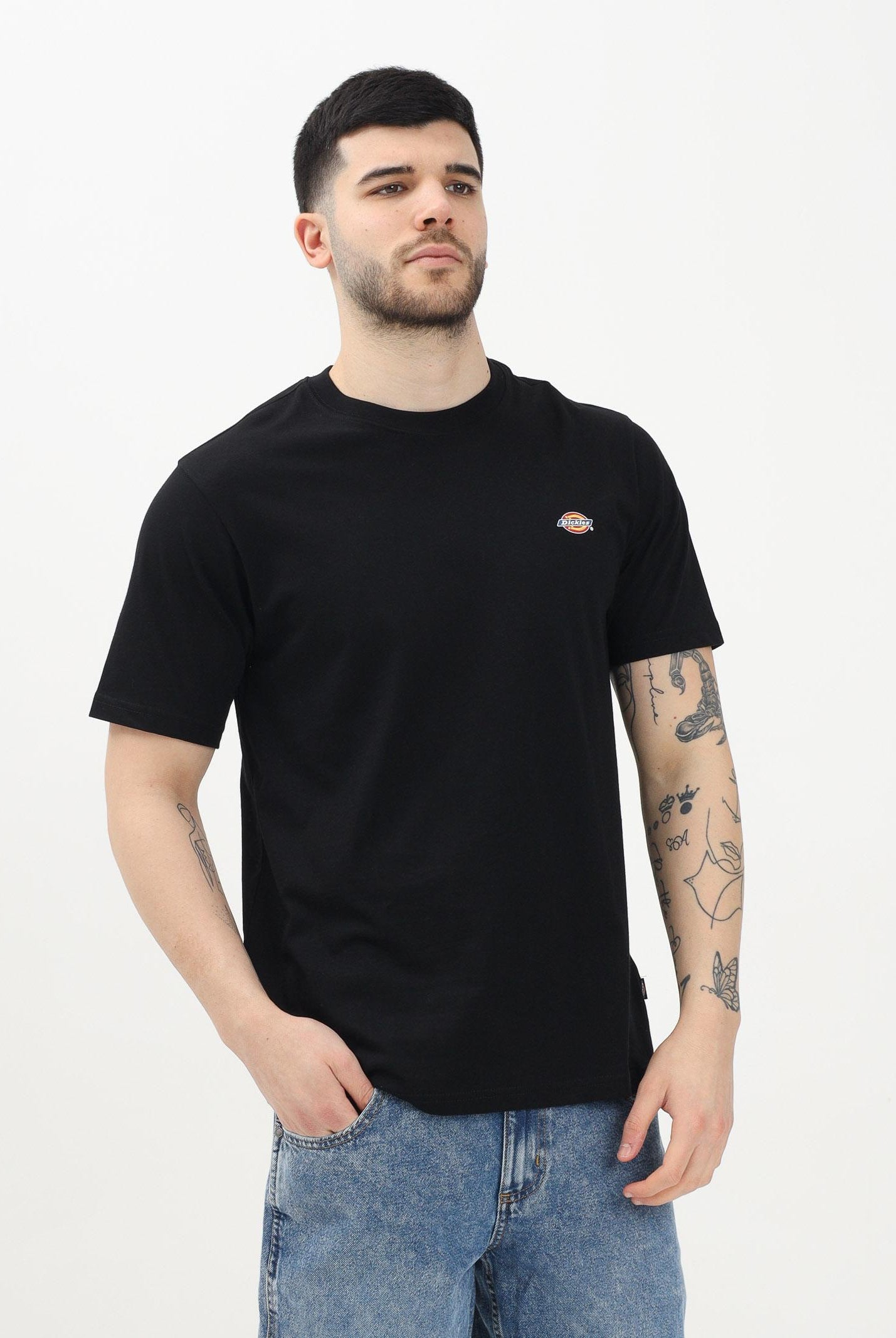 DICKIES T-shirt a manica corta Mapleton nera da uomo DK0A4XDBBLK1 . DIckies
