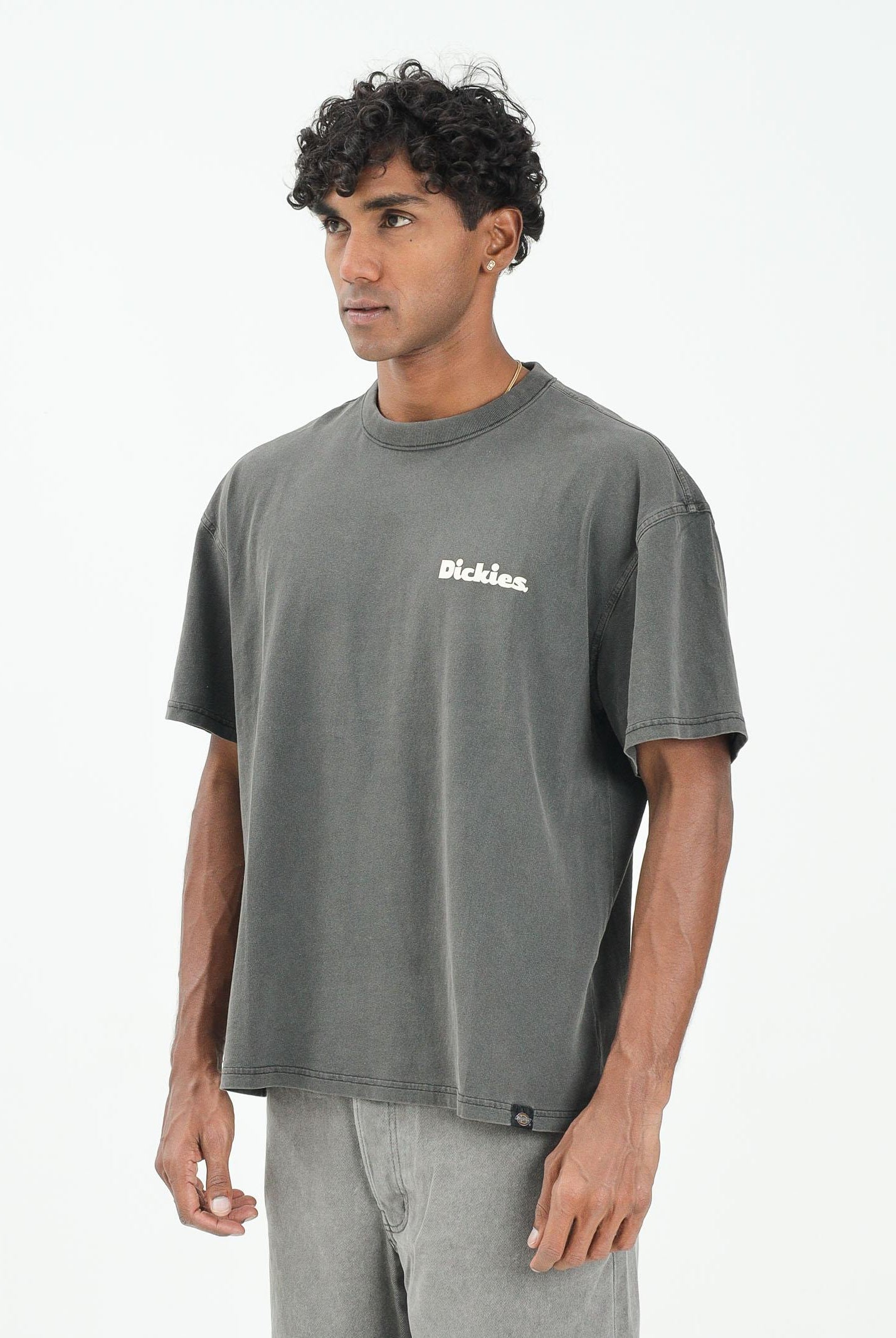 DICKIES SLAYDEN GD t-shirt a manica corta da uomo nera con stampa panna. DK0A87QRBLK1 DIckies