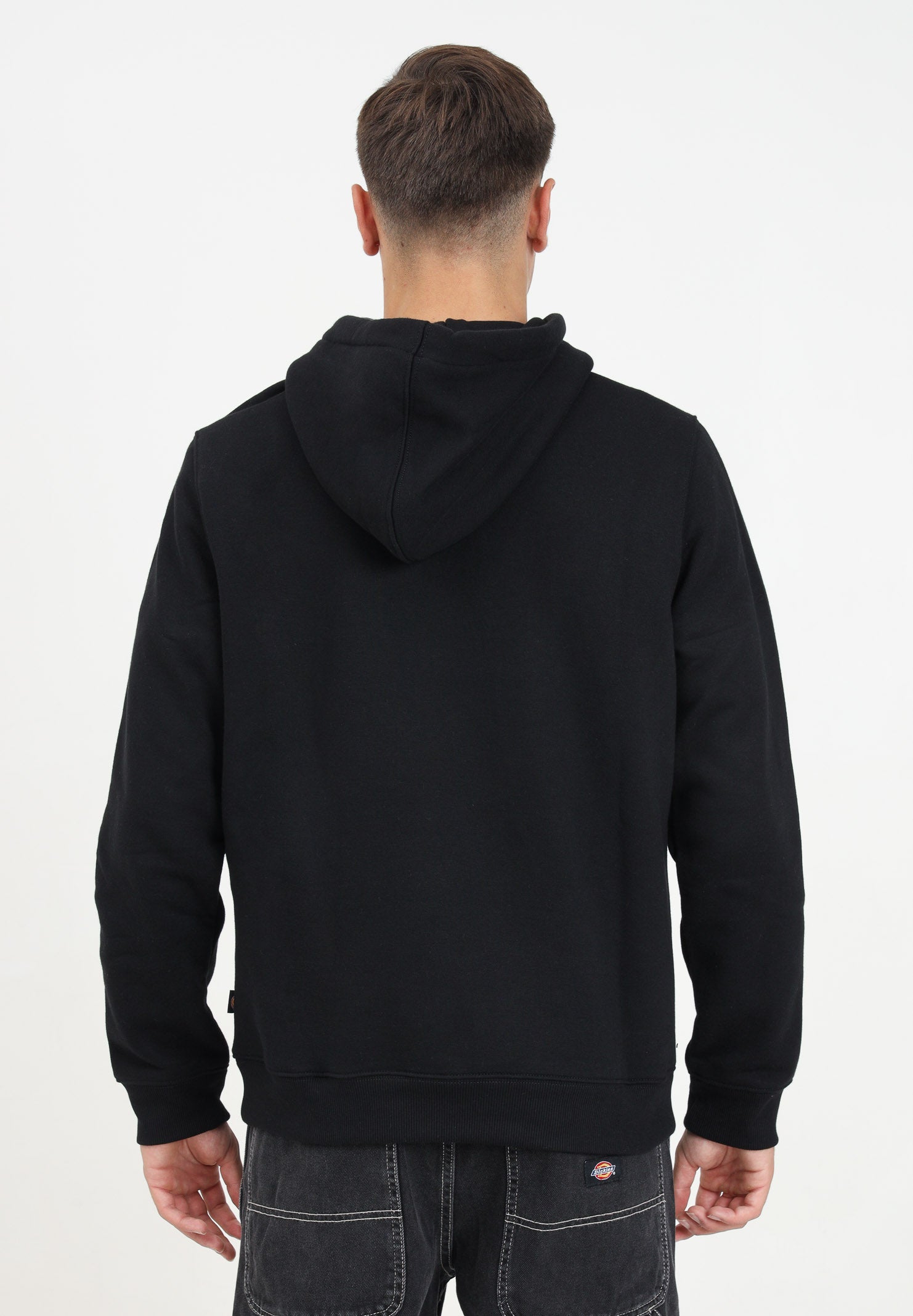 DICKIES Felpa con cappuccio Oakport nera da uomo DK0A4XCDBLK1 . DIckies 