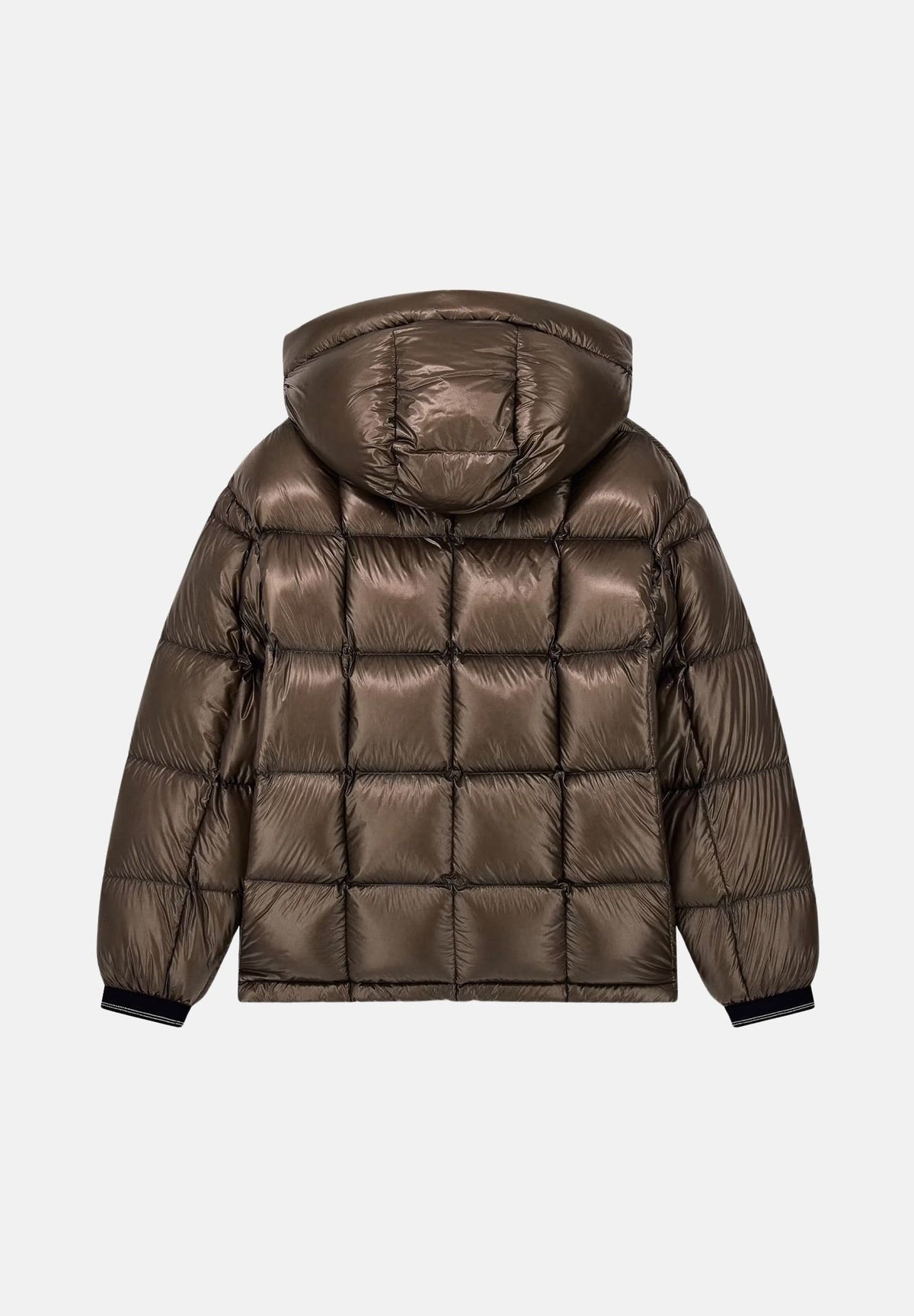 ARMANI EXCHANGE Piumino falcon-marrone da uomo con cappuccio imbottito e trapuntatura a blocchi. XM003344AF23755 U6125 ARMANI EXCHANGE 