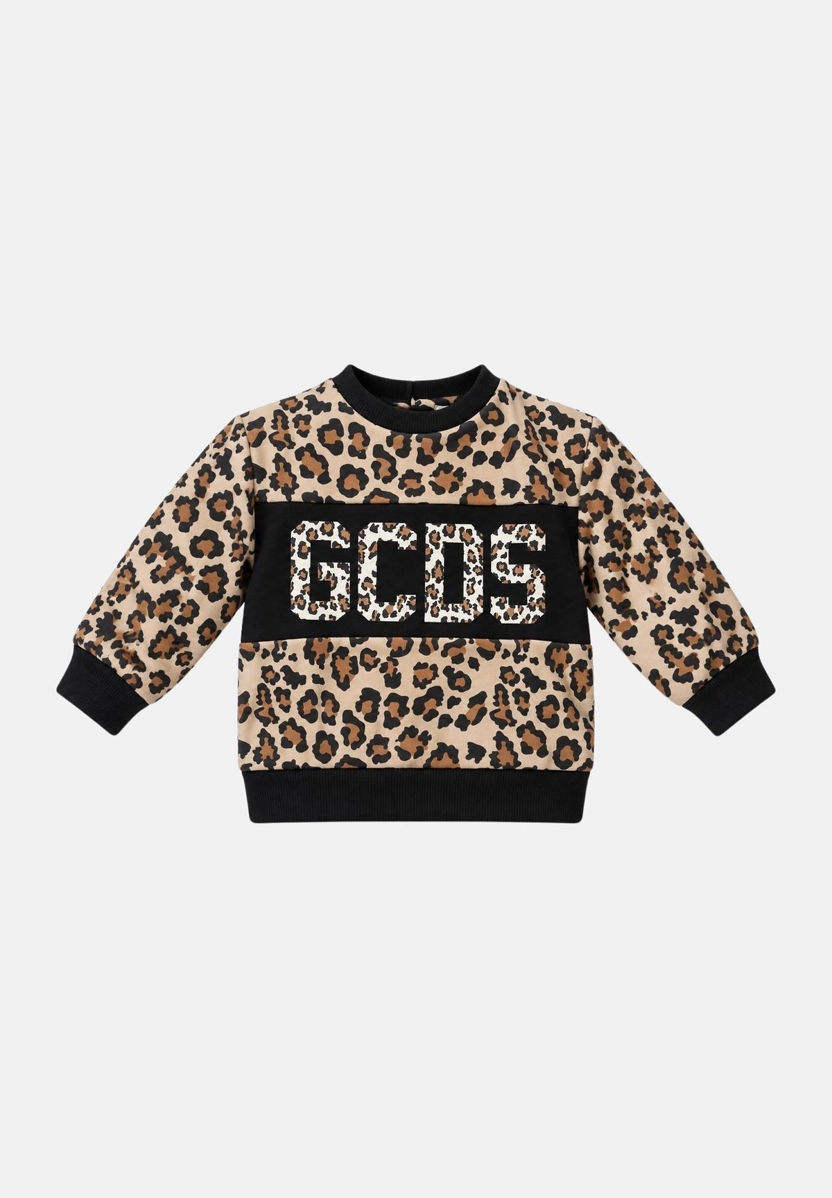  GC0049 MA GCDS 