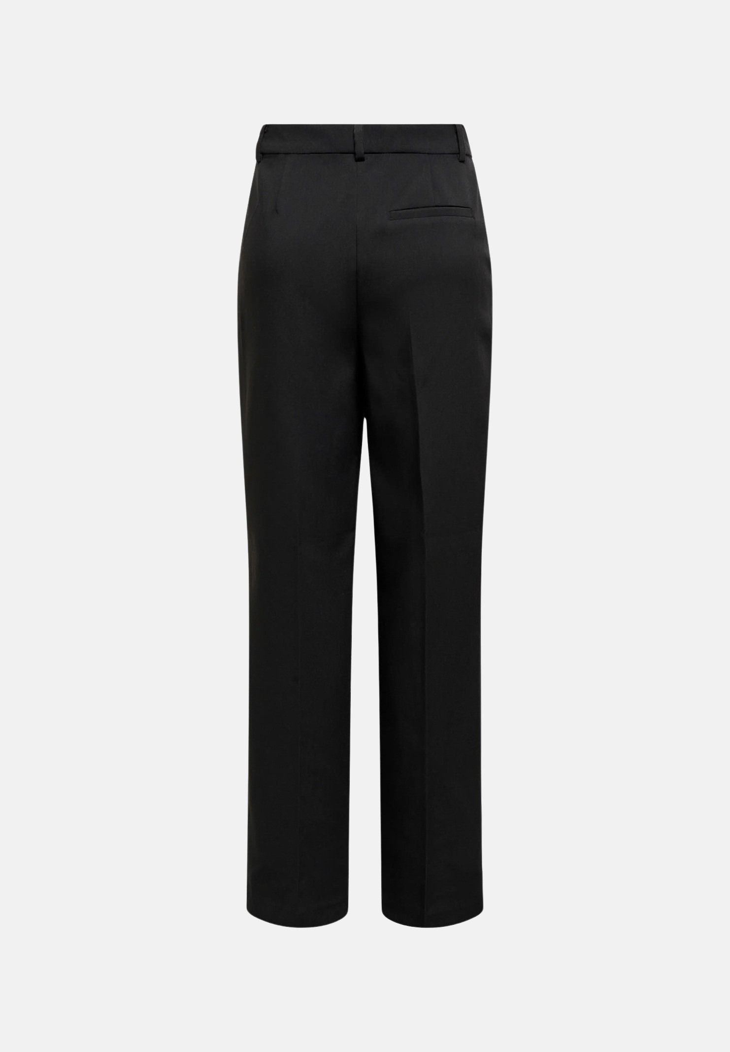 Pantaloni regular fit da donna autunno inverno 15379719 BL JDY 