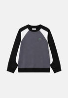 847668 K96 LACOSTE 