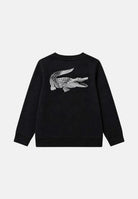  847668 K96 LACOSTE 
