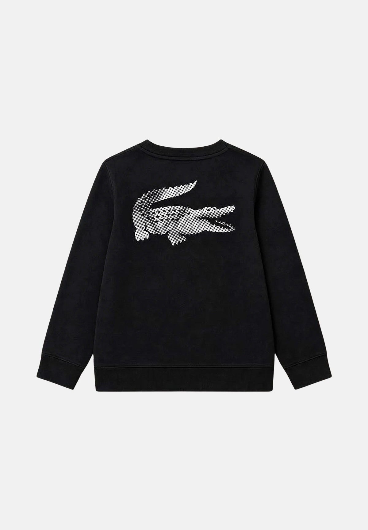 LACOSTE Felpa girocollo grigia e nera per  bambino e bambina con maniche raglan e logo ricamato 847668 K96 LACOSTE 