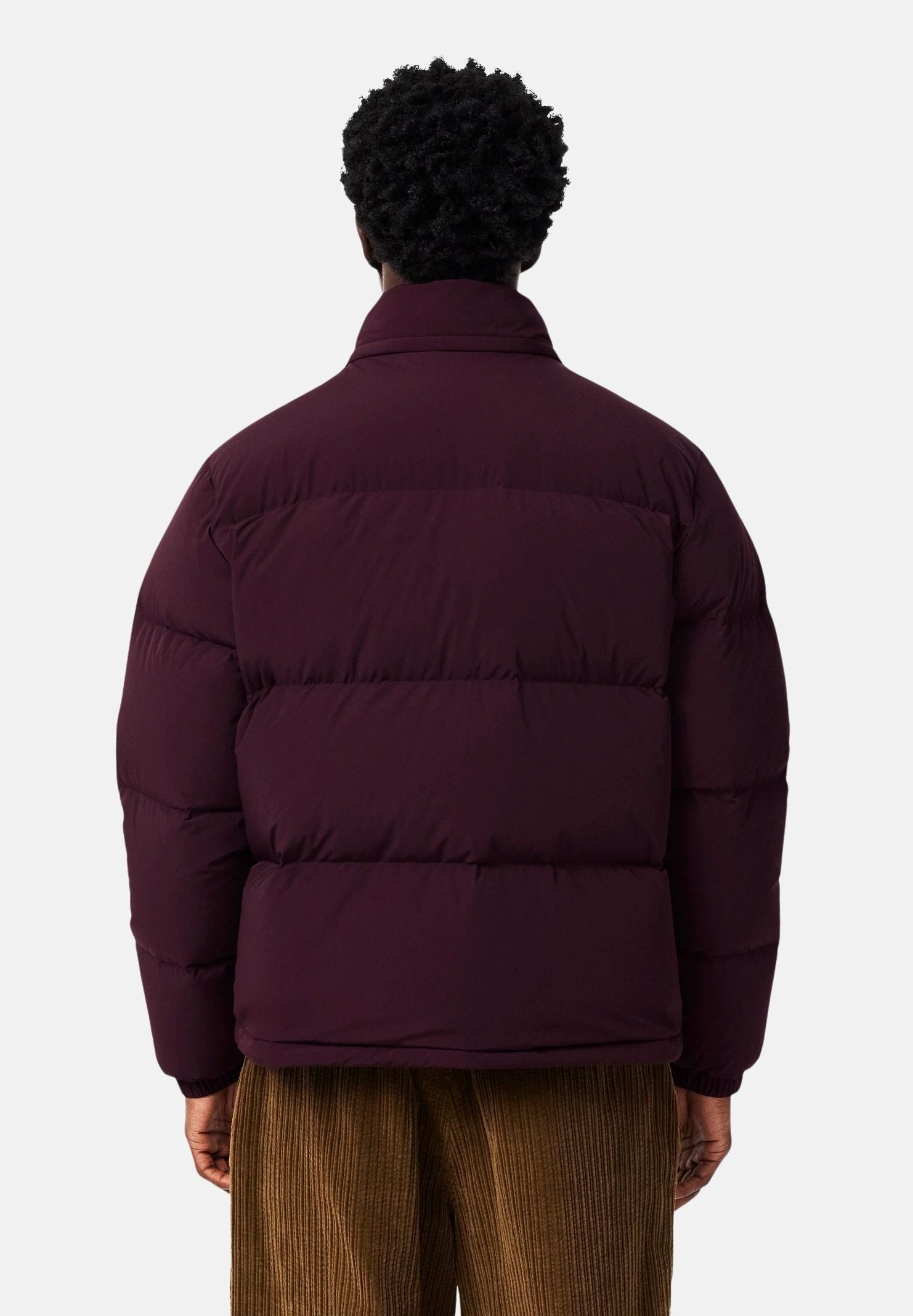 Piumino regular fit autunno inverno BH5154 3KE LACOSTE 