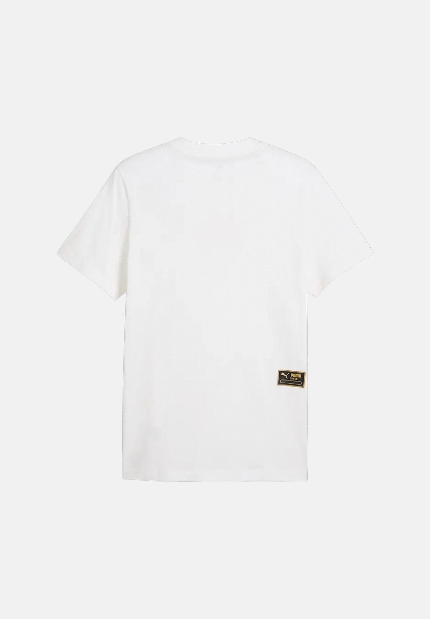  694323 02 PUMA 
