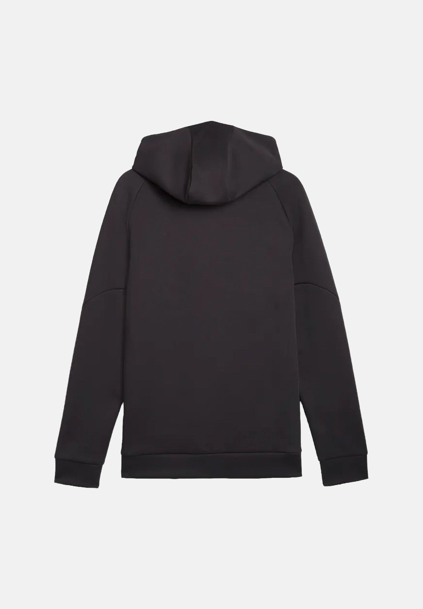  786685 20 PUMA 