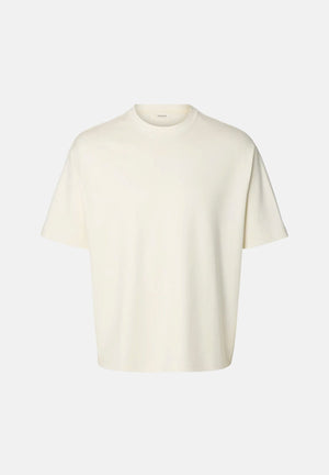  16099500 EG SELECTED HOMME 