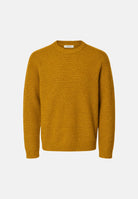  16101893 CHTE SELECTED HOMME 