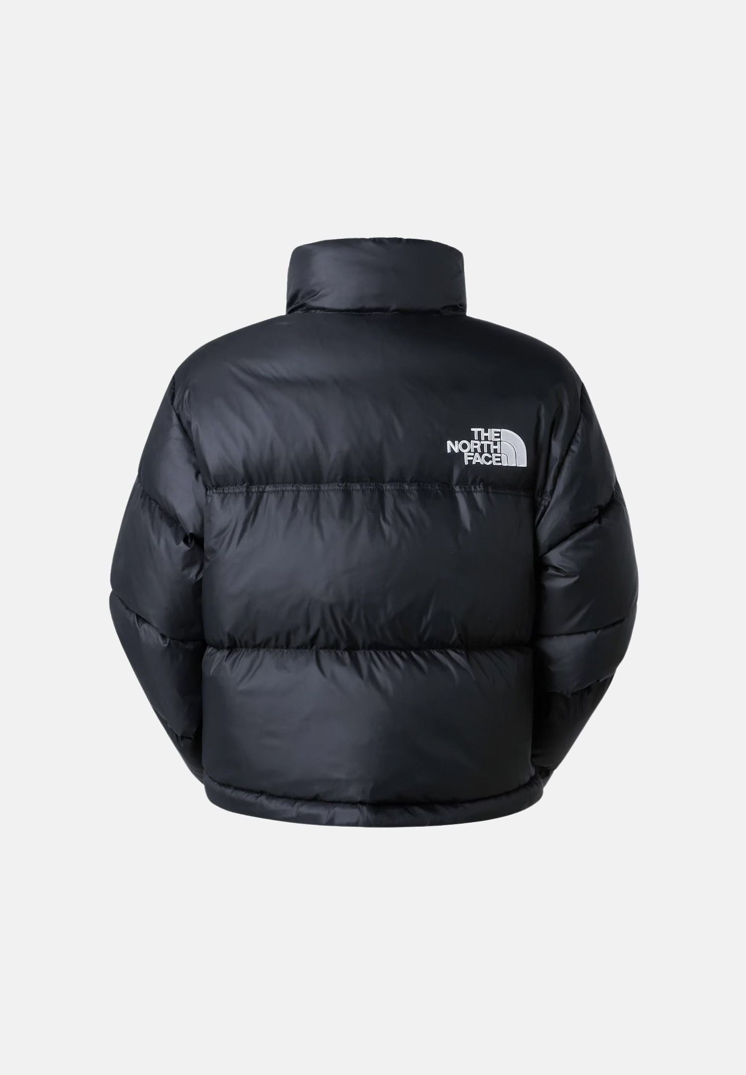  NF0A5GGEGOG1 . THE NORTH FACE 