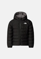  NF0A88VJNLQ1 . THE NORTH FACE 
