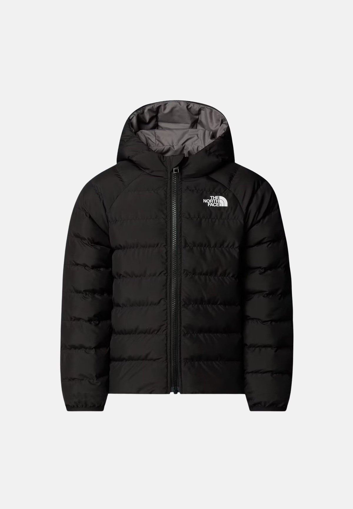 NF0A88VJNLQ1 . THE NORTH FACE 