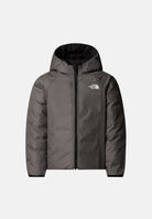  NF0A88VJNLQ1 . THE NORTH FACE 
