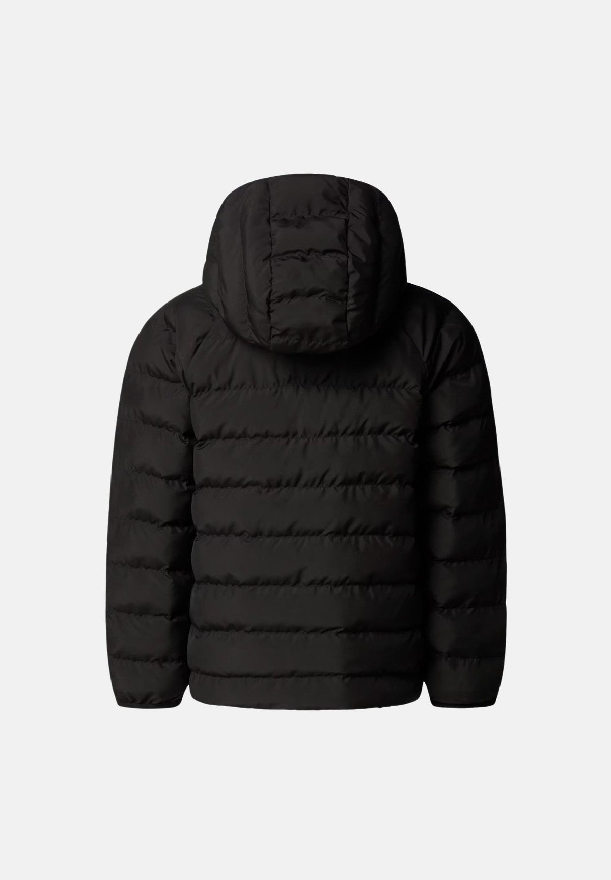  NF0A88VJNLQ1 . THE NORTH FACE 