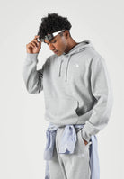 THE NORTH FACE Felpa con cappuccio EVOLUTION SIMPLE DOME REGULAR HOODIE grigia da uomo NF0A8CWMCQO1 . THE NORTH FACE 