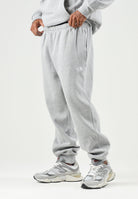 THE NORTH FACE Pantaloni EVOLUTION SIMPLE DOME REGULAR grigio chiaro mélange da uomo NF0A8CWYCQO1 . THE NORTH FACE 