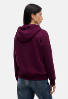 TOMMY JEANS Felpa con cappuccio bordeaux da donna rifinita da logo DW0DW19958 V11 TOMMY JEANS 