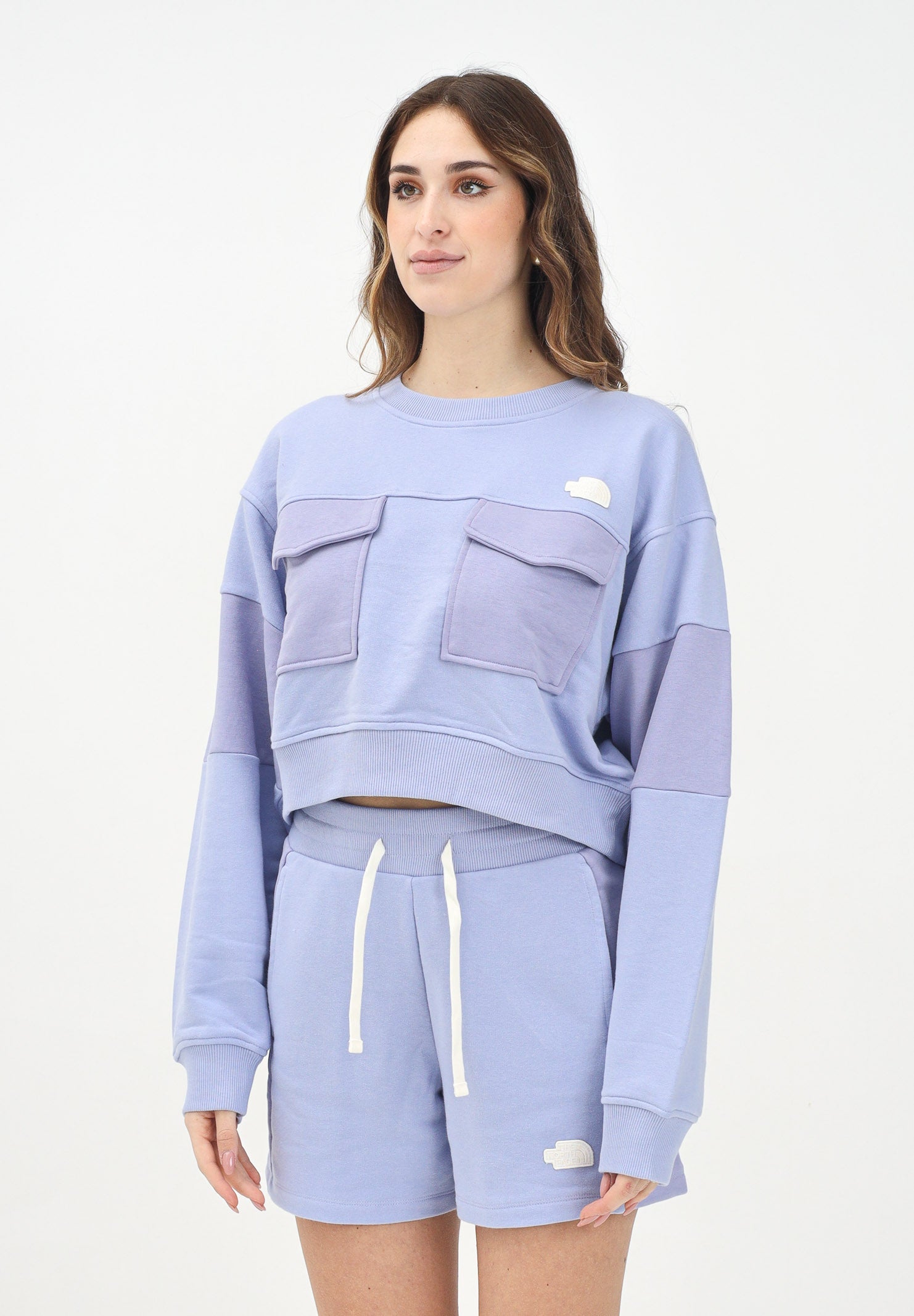 THE NORTH FACE Felpa girocollo Terry Oversized lilla da donna NF0A8C2C0VI1 . THE NORTH FACE 