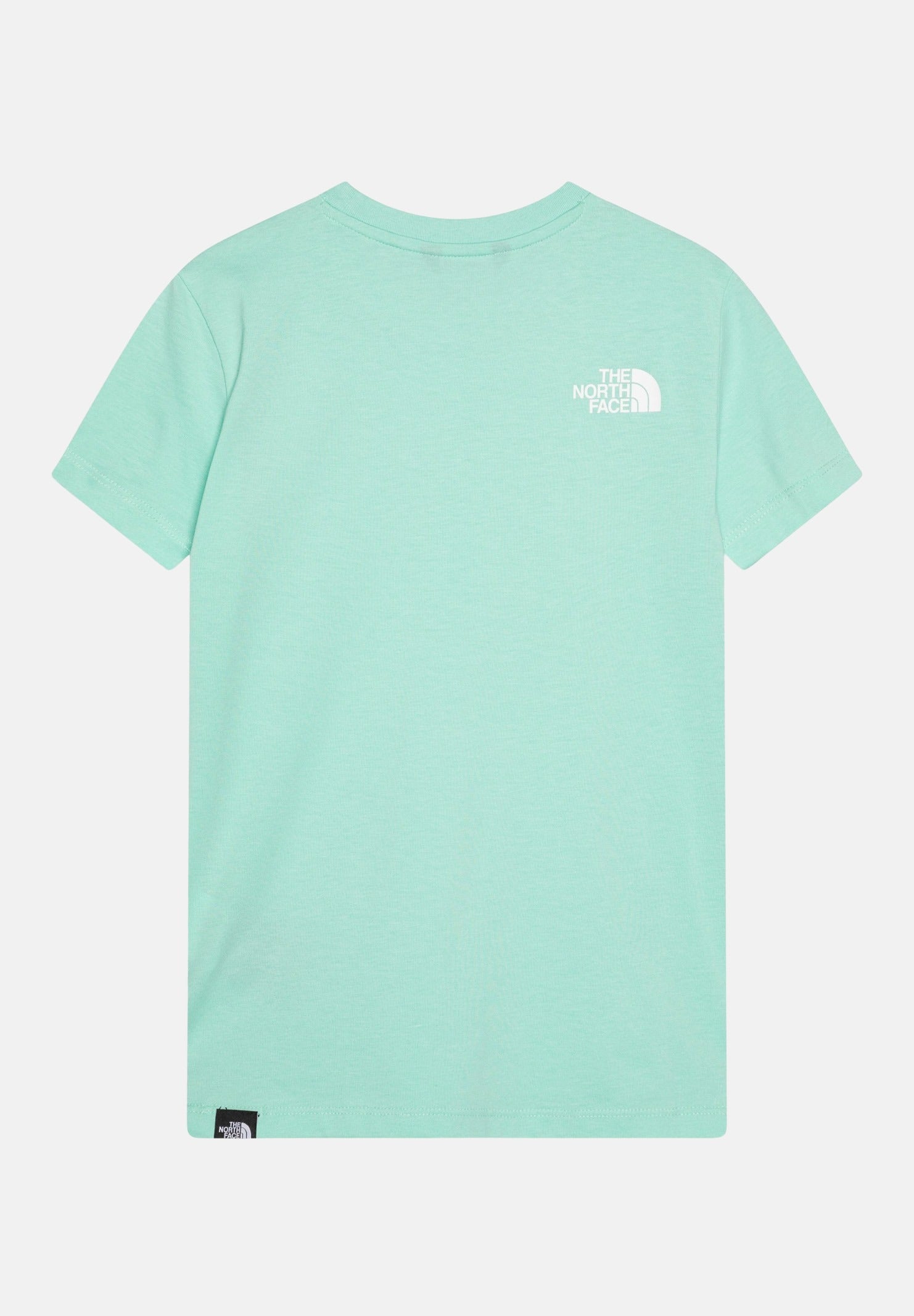 THE NORTH FACE T-shirt a manica corta Simple Dome verde acqua per bambino e bambina NF0A8DRP6EI1 . THE NORTH FACE 
