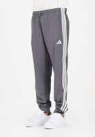 ADIDAS PERFORMANCE Pantalone sportivo Mercedes-AMG Petronas Formula 1 Team Silver Arrows Icon grigio da uomo KR3571 . ADIDAS PERFORMANCE 