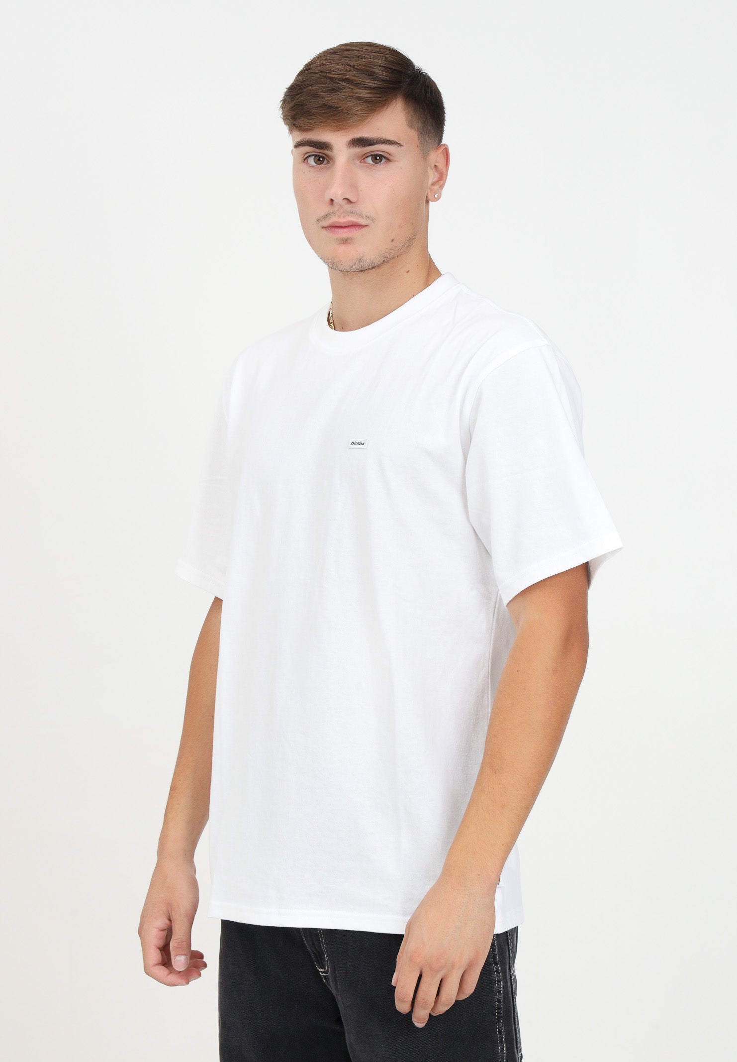 DICKIES T-shirt a manica corta Clancy Heavyweight bianca da uomo DK0A4Z4L0WH1 . DIckies 