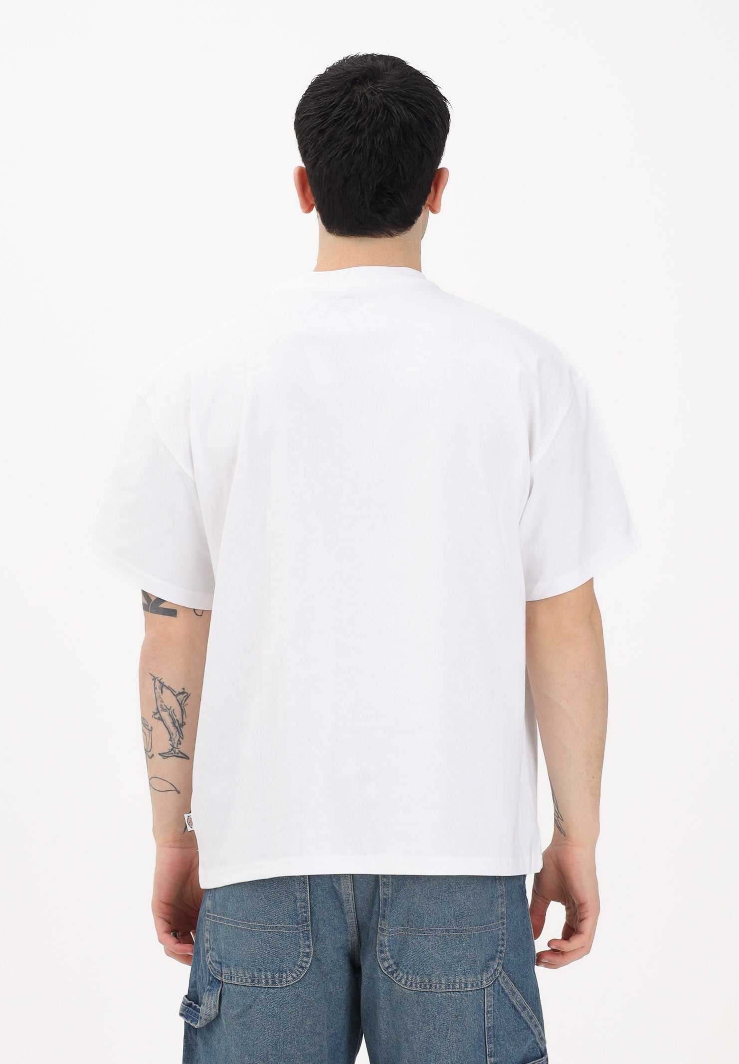 DICKIES T-shirt a manica corta Rarden bianca da uomo DK0A88850WH1 . DIckies 