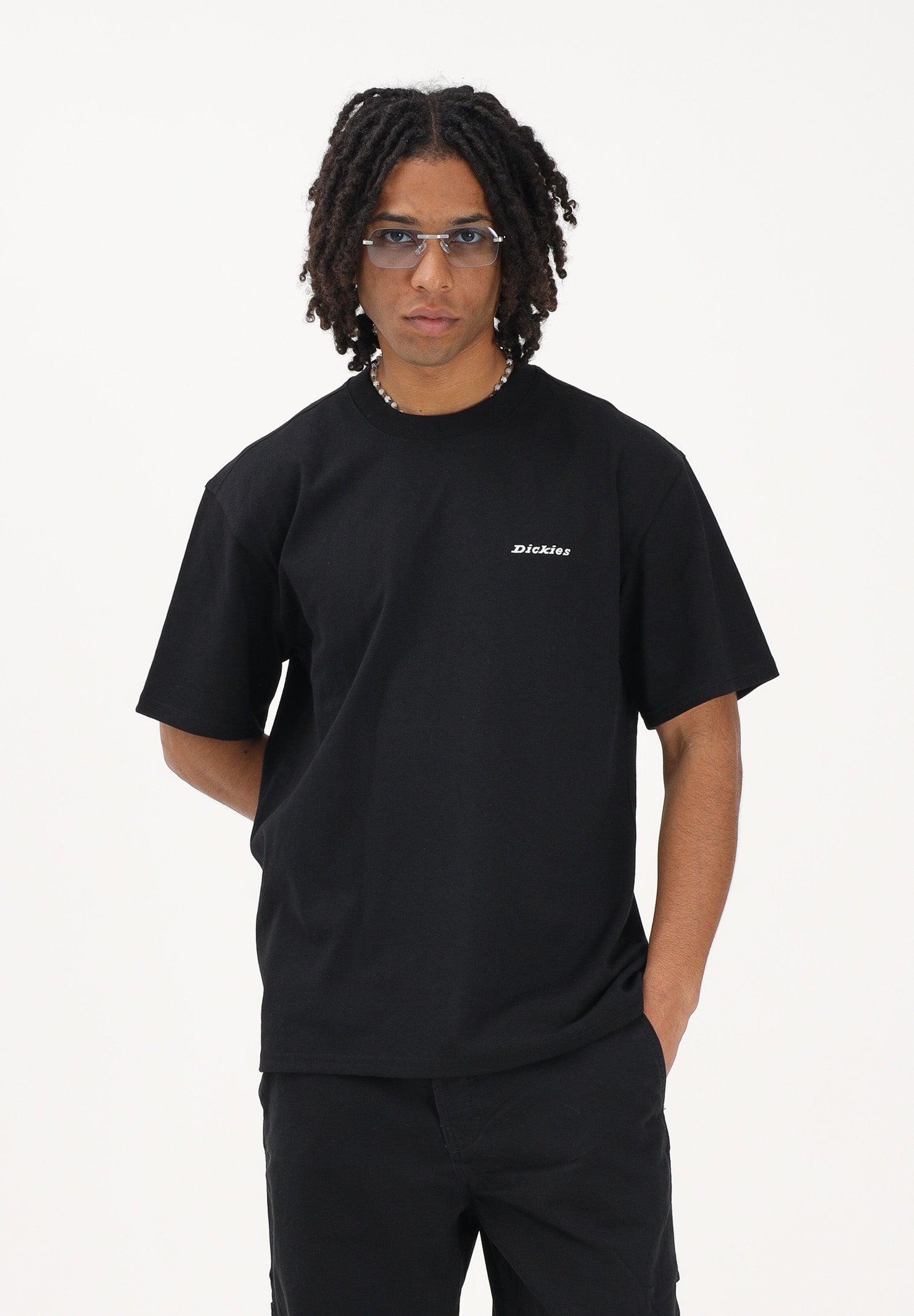 DICKIES T-shirt a manica corta Loretto nera da uomo DK0A89ENBLK1 . DIckies 