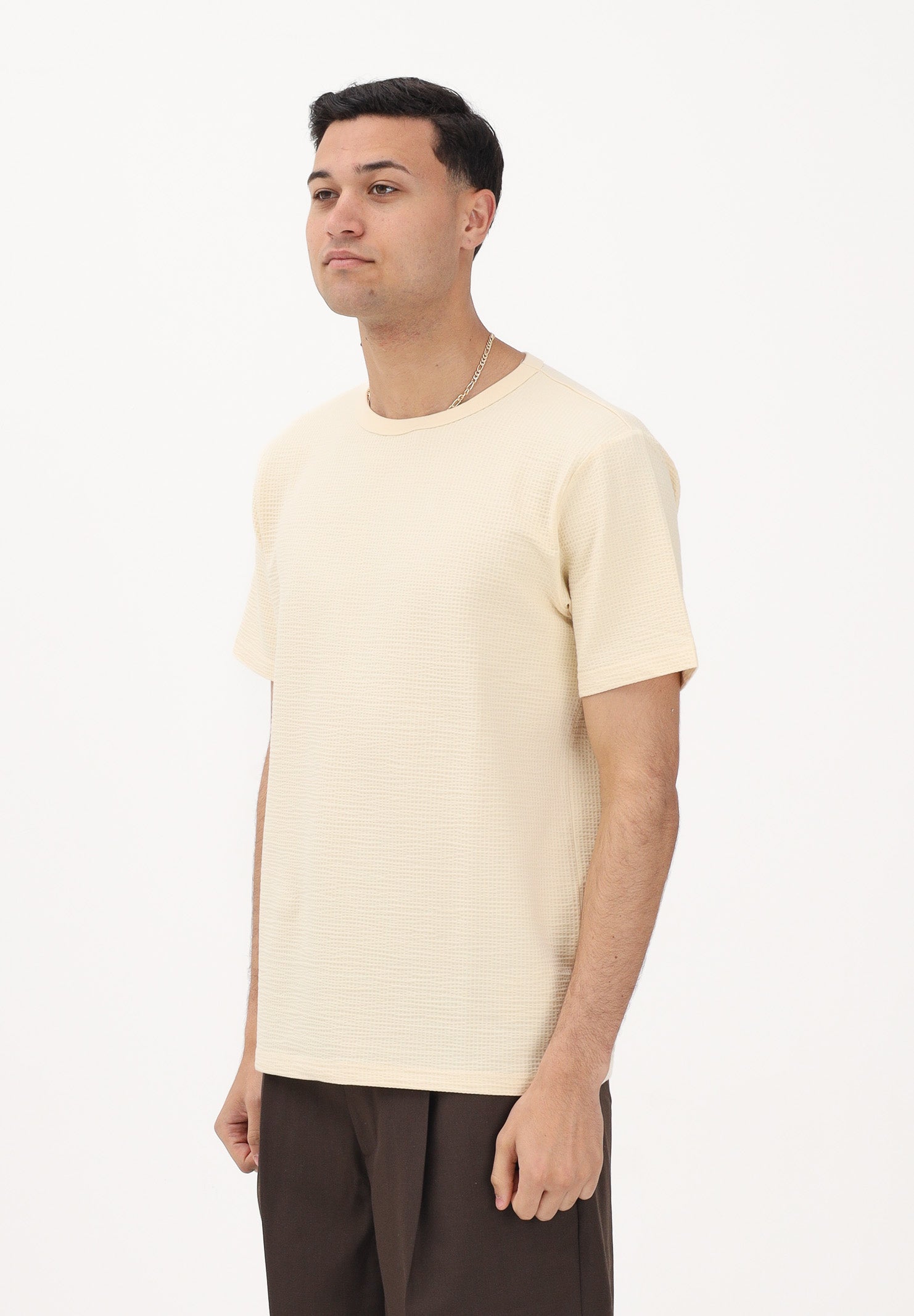 SELECTED HOMME T-shirt a manica corta crema da uomo con texture micro lavorata 16092769 AN SELECTED HOMME 