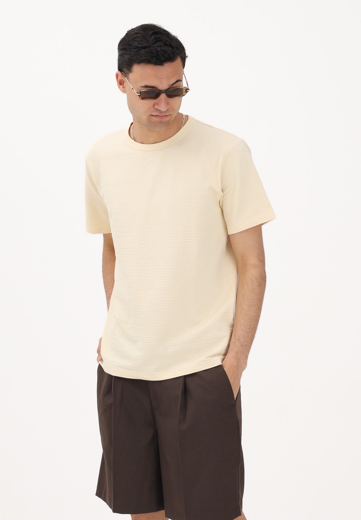 SELECTED HOMME T-shirt a manica corta crema da uomo con texture micro lavorata 16092769 AN SELECTED HOMME 