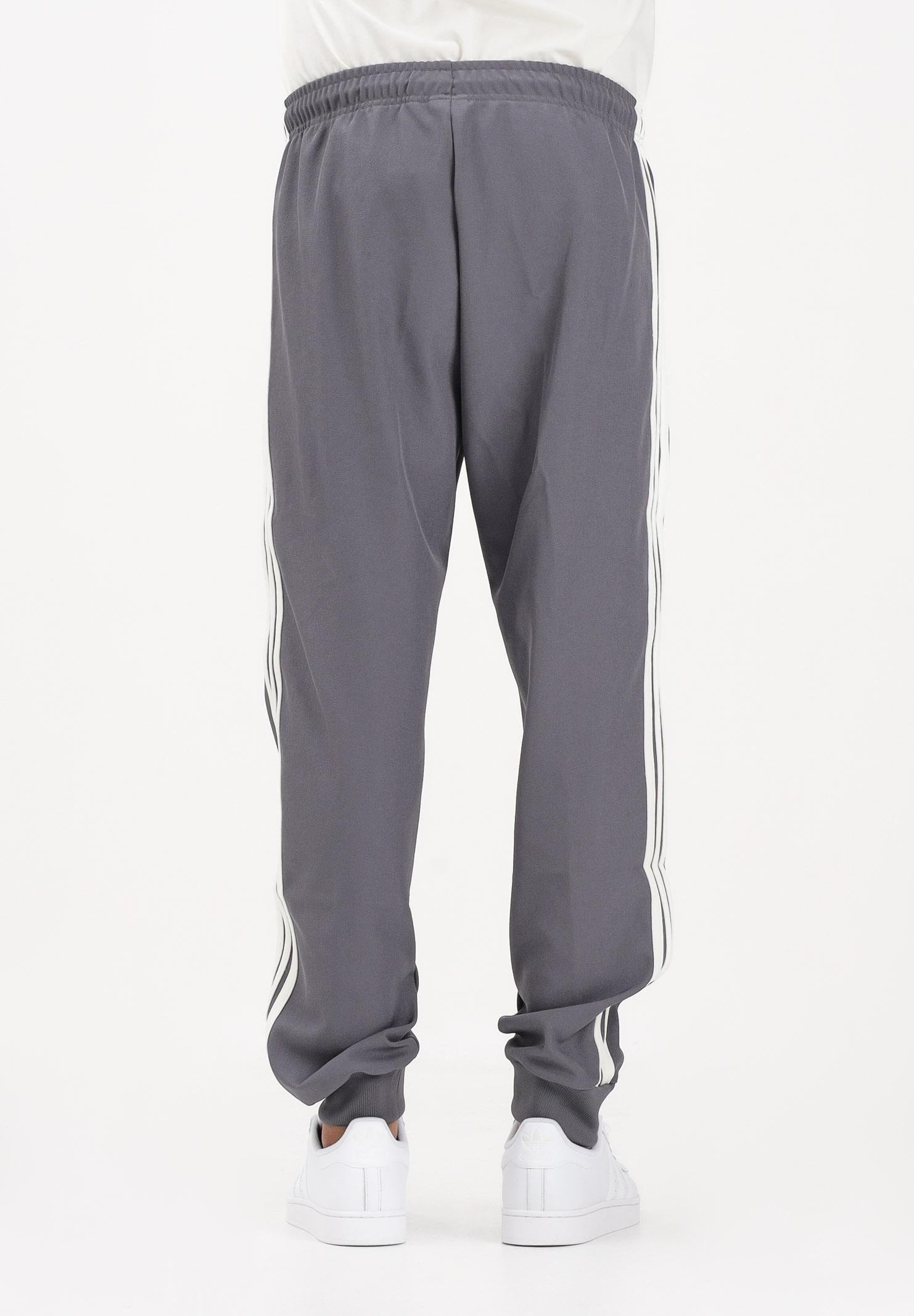 ADIDAS PERFORMANCE Pantalone sportivo Mercedes-AMG Petronas Formula 1 Team Silver Arrows Icon grigio da uomo KR3571 . ADIDAS PERFORMANCE 