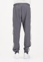 ADIDAS PERFORMANCE Pantalone sportivo Mercedes-AMG Petronas Formula 1 Team Silver Arrows Icon grigio da uomo KR3571 . ADIDAS PERFORMANCE 