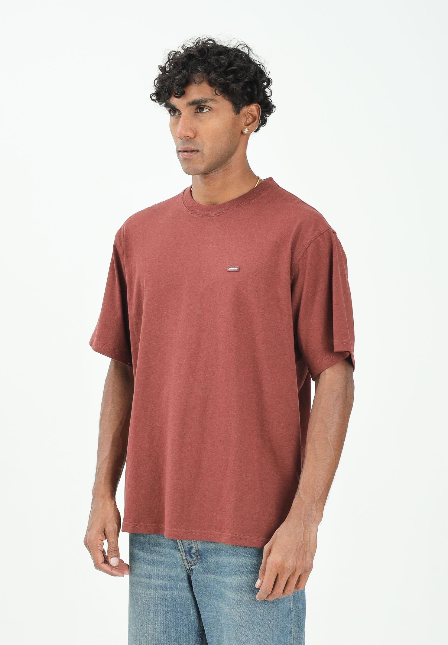 DICKIES T-shirt a manica corta Clancy bordeaux da uomo DK0A4Z4LL161  DIckies 
