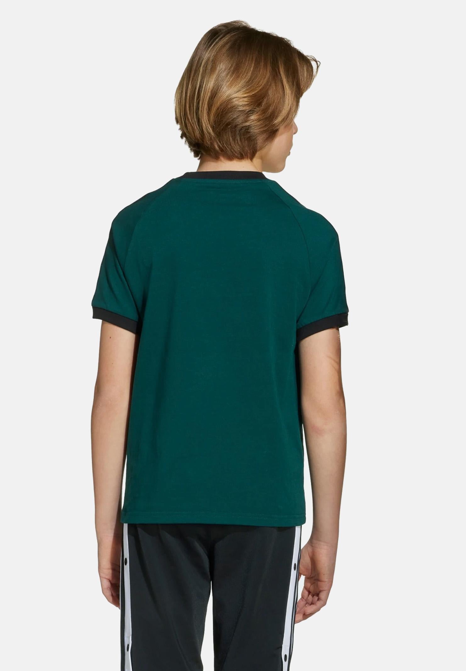 ADIDAS ORIGINALS T-shirt a manica corta Adicolor 3-Stripes verde per bambino e bambina JV8581  ADIDAS ORIGINALS 
