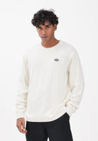 DICKIES Maglione girocollo Summerdale panna da uomo DK0A87OPC481 . DIckies 
