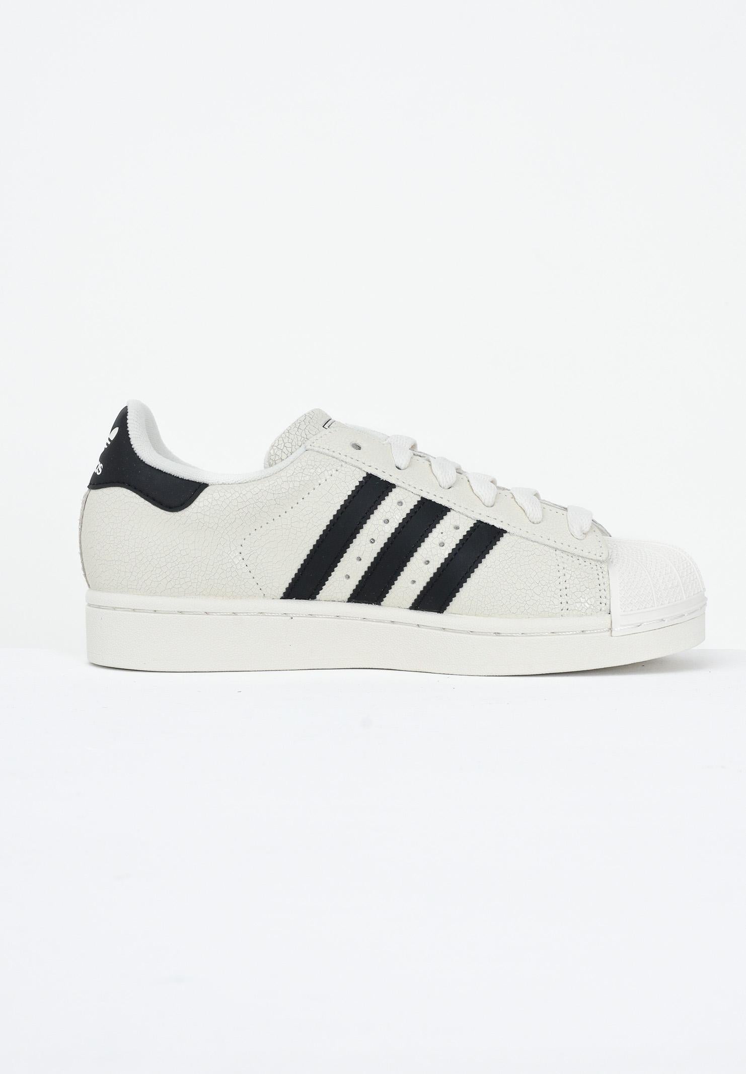 ADIDAS ORIGINALS Sneakers SUPERSTAR II panna per uomo e donna JS4013 . ADIDAS ORIGINALS 