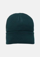 ADIDAS ORIGINALS Berretto di lana Adicolor verde per uomo e donna JZ4983  ADIDAS ORIGINALS 