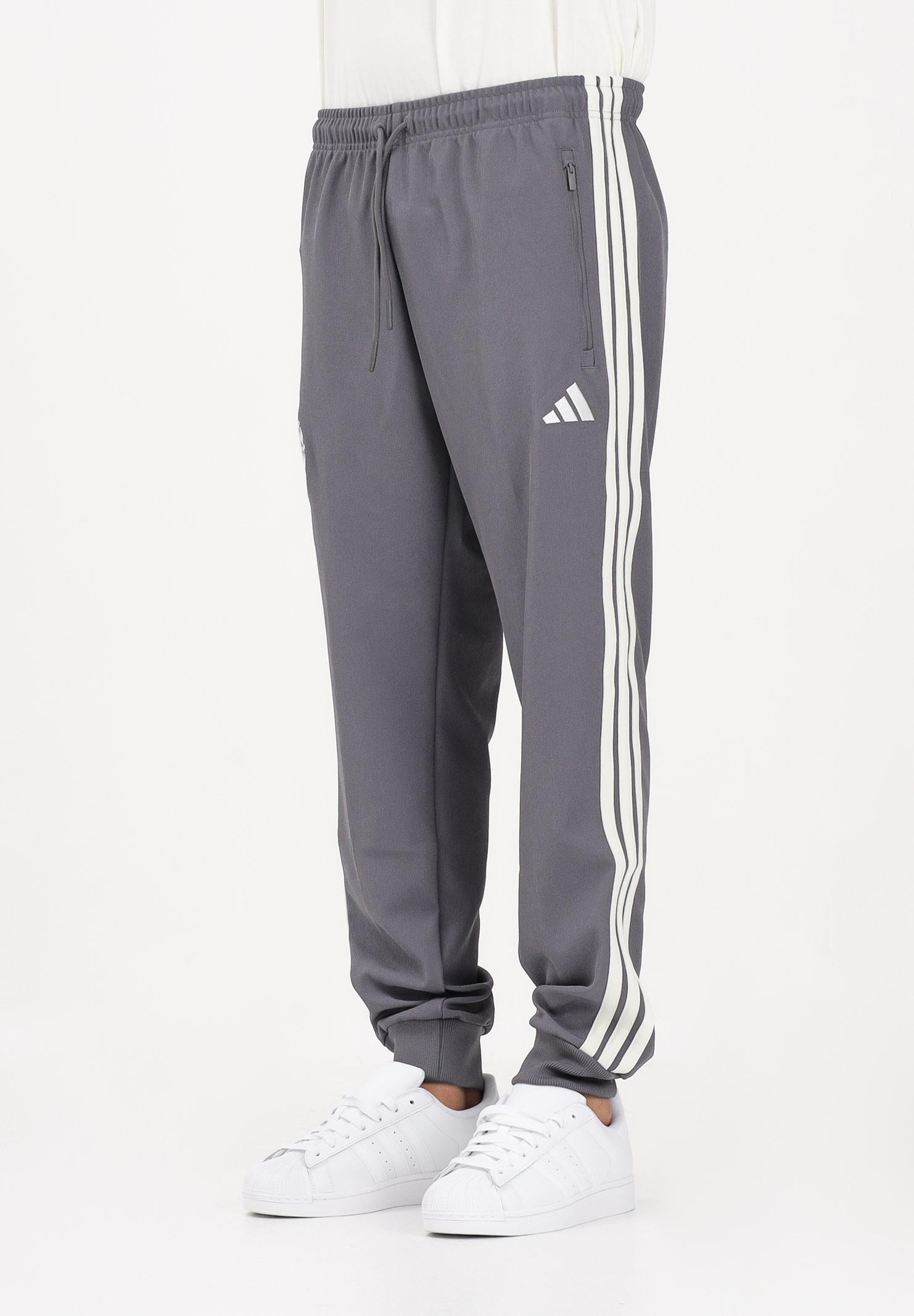 ADIDAS PERFORMANCE Pantalone sportivo Mercedes-AMG Petronas Formula 1 Team Silver Arrows Icon grigio da uomo KR3571 . ADIDAS PERFORMANCE 
