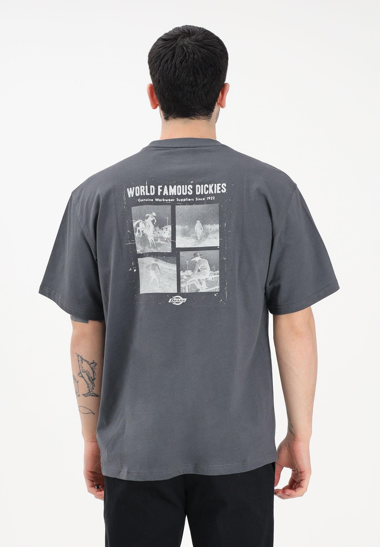DICKIES T-shirt a manica corta Wolfhurst grigia da uomo DK0A88QOCH01 . DIckies 