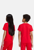 ADIDAS ORIGINALS T-shirt a manica corta TREFOIL rossa per bambino e bambina IY7423 . ADIDAS ORIGINALS 