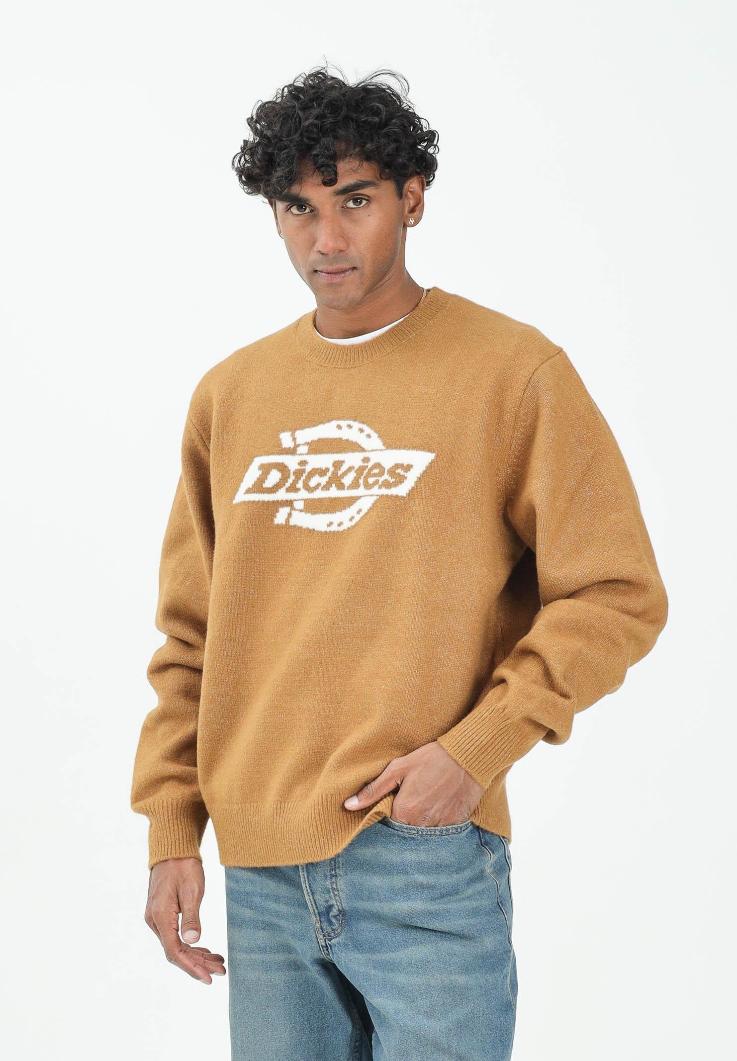 DICKIES Maglione girocollo Ruston cammello da uomo DK0A87OQ0BD1 . DIckies 