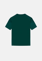 ADIDAS ORIGINALS T-shirt a manica corta Third 23/24 Arsenal FC verde da bambino KB1831 . ADIDAS ORIGINALS 