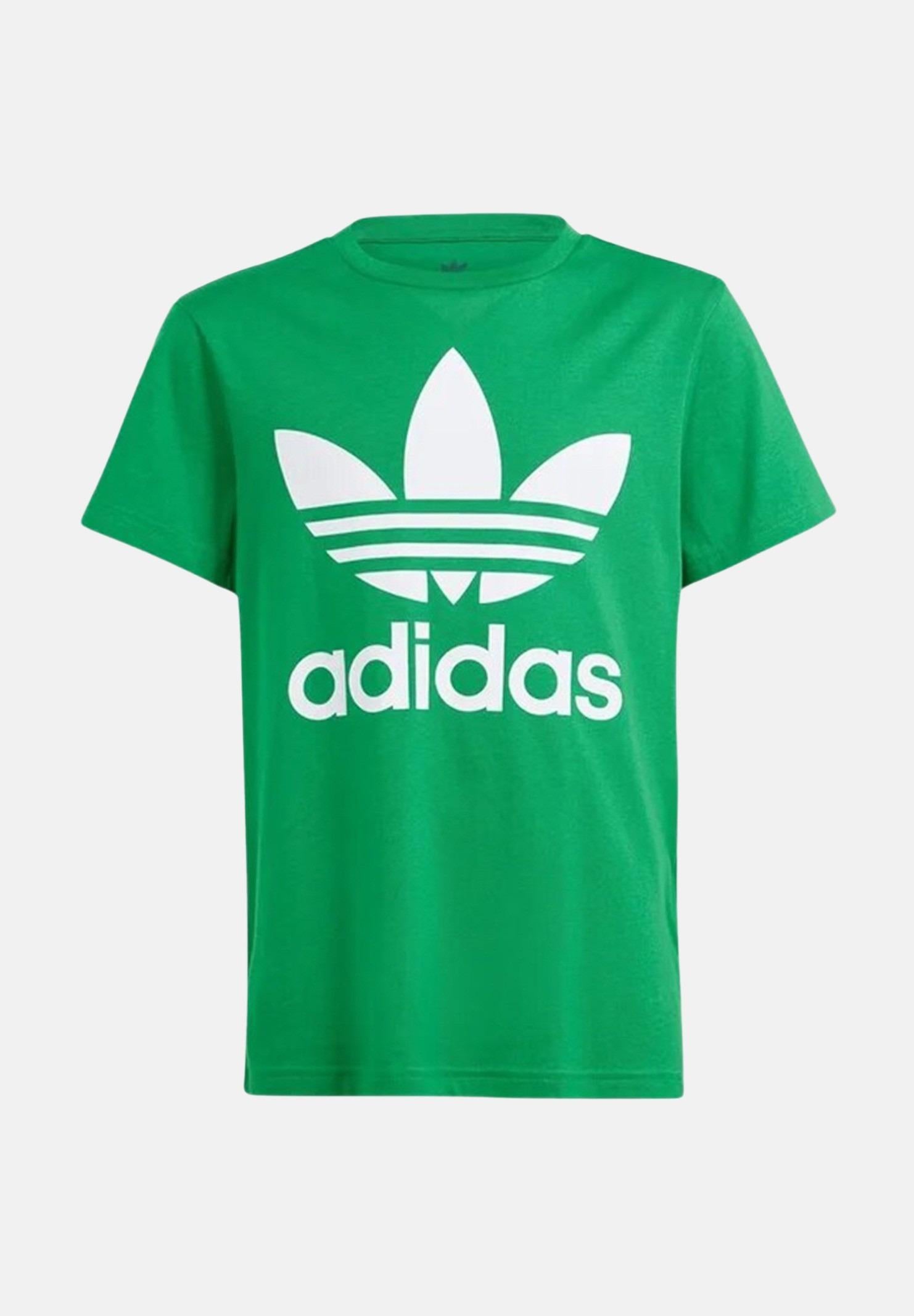 ADIDAS ORIGINALS T-shirt a manica corta Trefoil verde per bambino e bambina IY4003 . ADIDAS ORIGINALS 