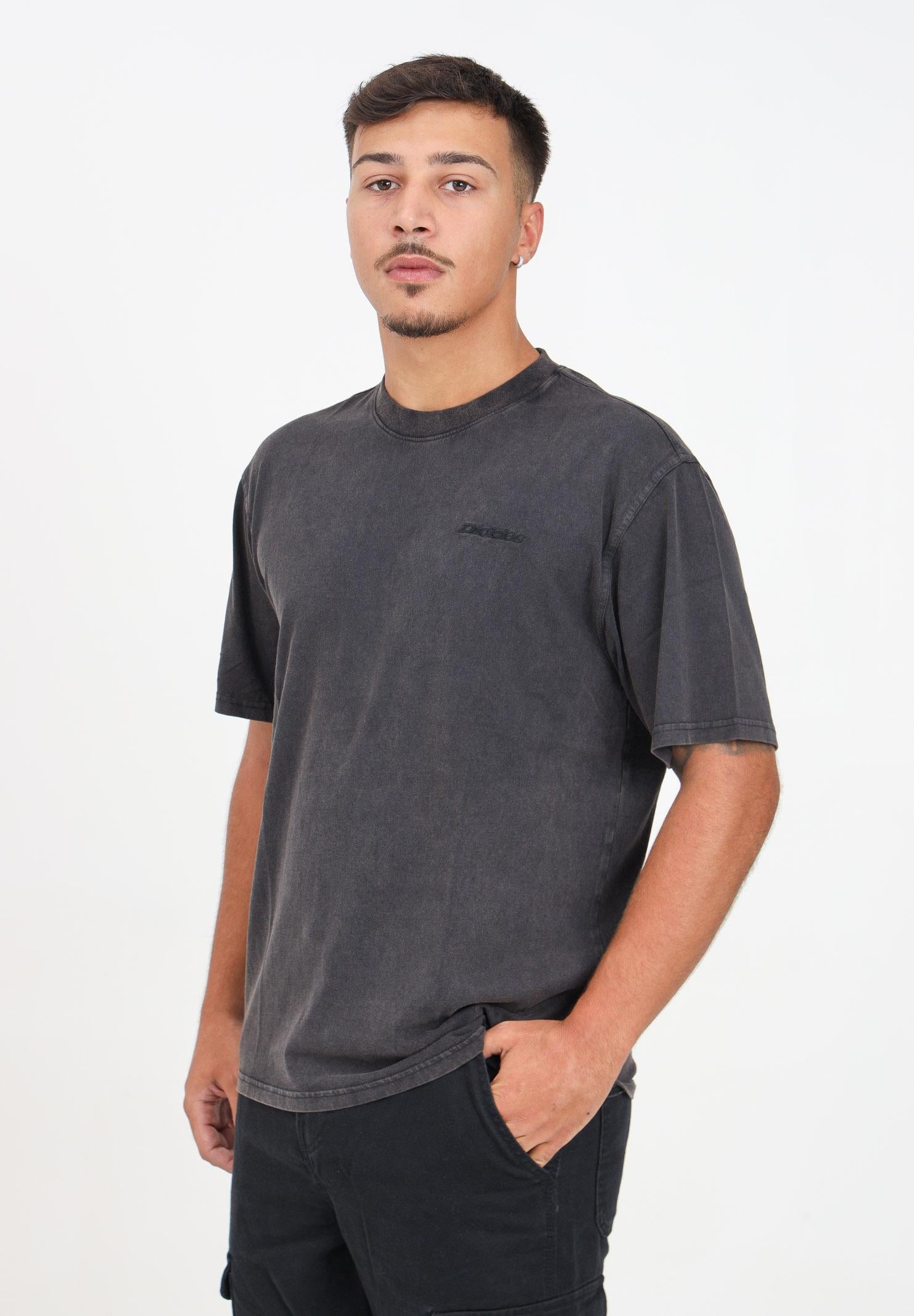 DICKIES T-shirt a manica corta Plentywood grigia da uomo DK0A866BH861  DIckies 